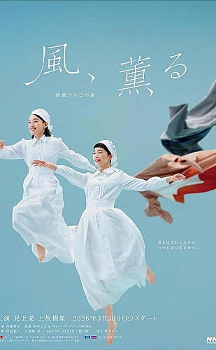 没有寄出的明信片资料图片